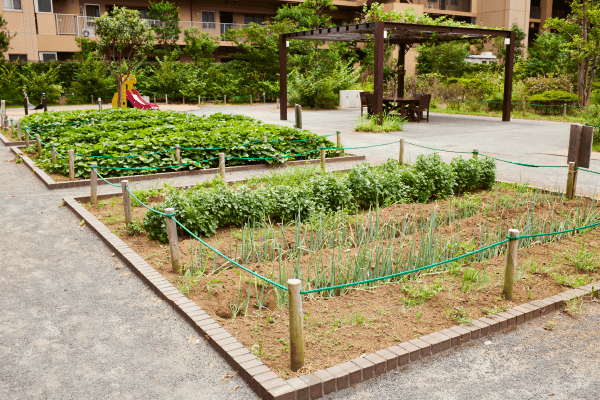 花壇・菜園スペース