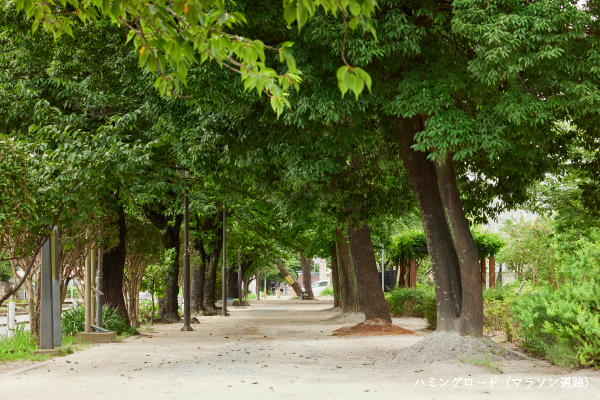 ハミングロード（マラソン道路）