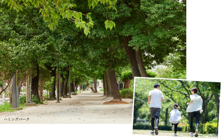 ハミングロード（マラソン道路）