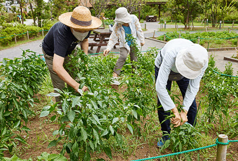 Hさんご夫婦とサークルの仲間たち